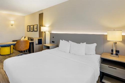 Comfort Inn & Suites Sayre image 13