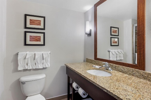 Comfort Inn & Suites Sayre image 6